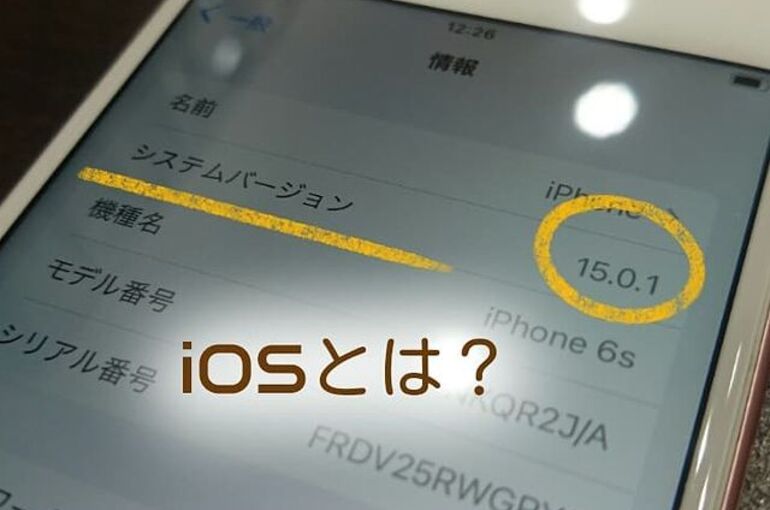 245696619_841212976561465_6385000436955236729_n