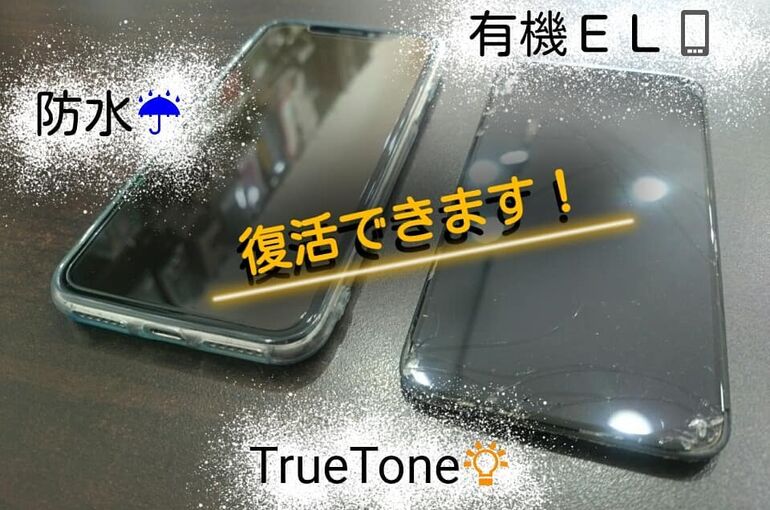 250062915_876686246546190_8328061440988488480_n(1)
